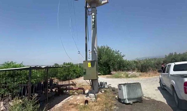 Bakır için direk üzerindeki trafoyu hedef alan hırsızlar, narenciye ağaçlarını susuz bıraktı