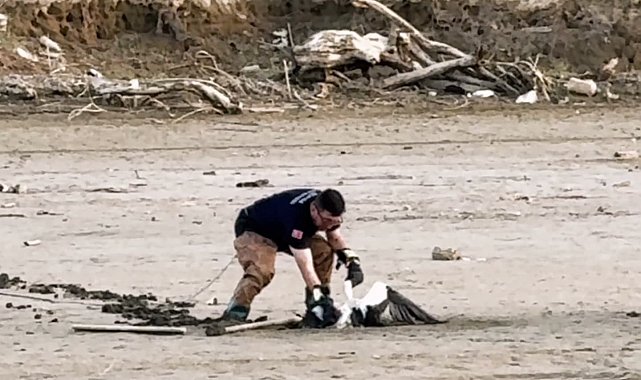 Balçığa saplanan leyleğin imdadına itfaiye yetişti