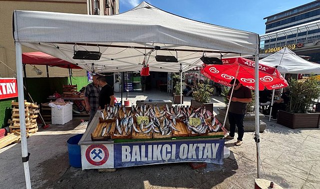 Balıkçı esnafından yeni sezon müjdesi, "Bu sene denizden balık fışkıracak"