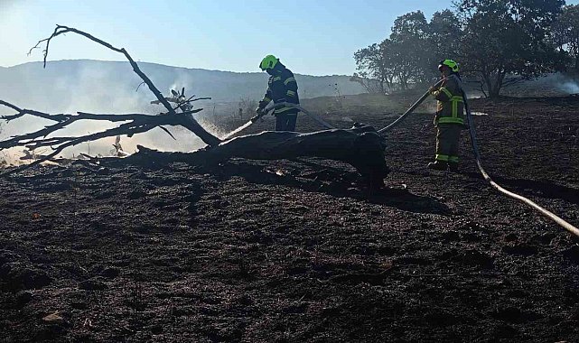 Balıkesir İtfaiyesi temmuz ayında bin 521 olaya müdahale etti