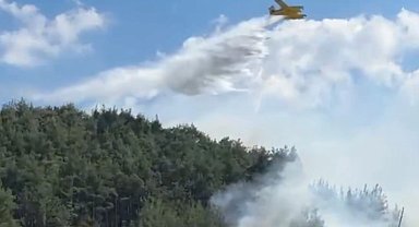 Balıkesir ve Bilecik'te yangınlar kontrol altında