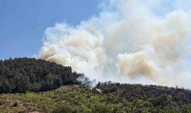 Balıkesir'de otluk alanda başlayan yangın ormana sıçradı