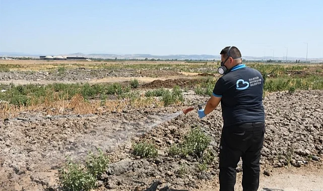 Balıkesir'de ilaçlama ekipleri sahada