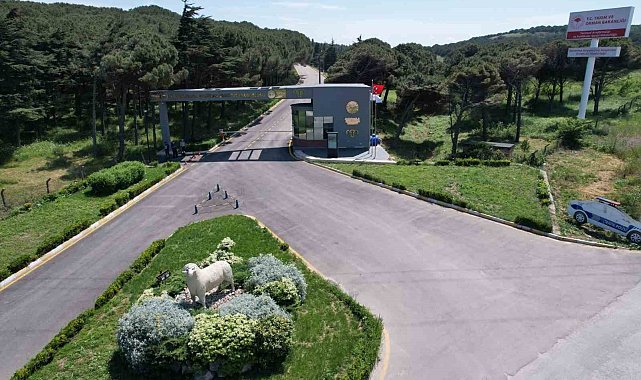 Bandırma Koyunculuk Araştırma Enstitüsü'nün TÜBİTAK projesine destek