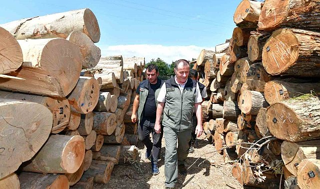 Bandırma Orman İşletme Müdürlüğündeki çalışmalar yerinde incelendi