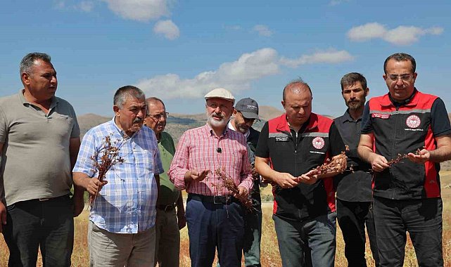 Başkan Çolakbayrakdar: "Kocasinan'ı arıcılıkta merkeze dönüştüreceğiz, şehre yeni bir tarım ürünü kazandıracağız"