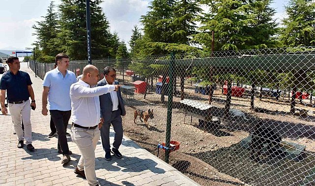 Başkan Hakan Şehirli Hayvan Bakımevi'ni ziyaret etti