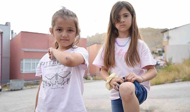 Bayburt'a tatile gelen iki kuzen köpeklerden kaçarken yaralandı