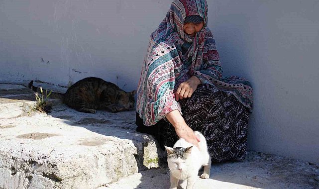 Bayburt'ta senelerdir sahipsiz hayvanları besleyen kadın, 10 yıldır baktığı sokak kedisini kaybetti: "İki gün ağladım"