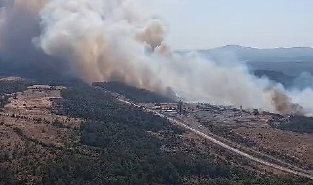Bayramiç'te orman yangını helikopterden görüntülendi