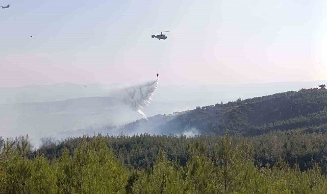 Bayramiç'teki orman yangını büyük ölçüde kontrol altında