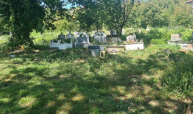 Bebek cesedi gömüldüğü ihbar edilen yere kedi gömüldüğü ortaya çıktı