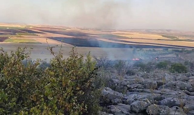 Besni'de ormanlık alanda çıkan yangın korkuttu