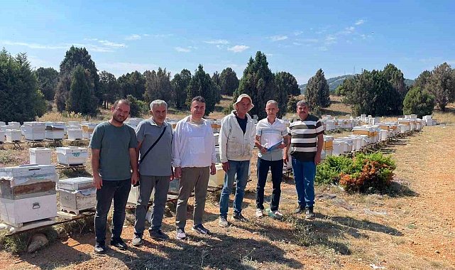 Beyşehir'de arılı kovanlar tek tek sayılıyor