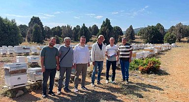 Beyşehir'de arılı kovanlar tek tek sayılıyor