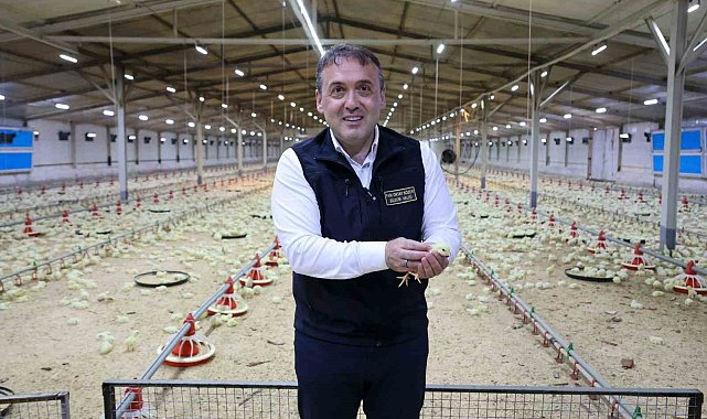 Bilecik 11,5 milyon kanatlı hayvana ev sahipliği yapıyor