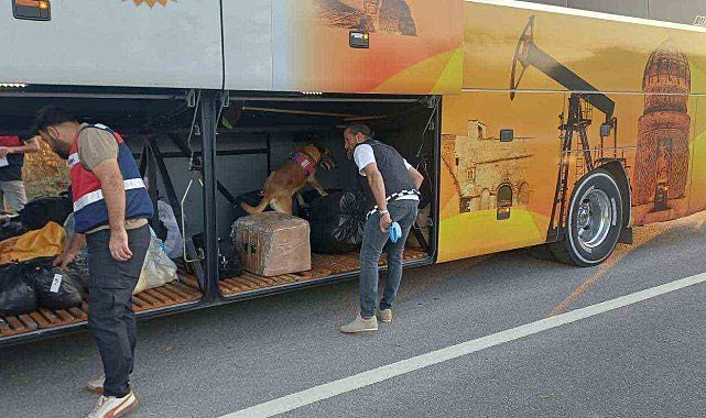 Bilecik'te 669 kişi sorgulandı: 1 kişi hakkında işlem başlatıldı