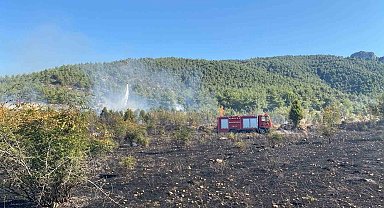 Bilecik'te çıkan tarla yangını ormana sıçramadan söndürüldü