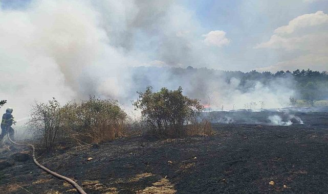 Bilecik'te çıkan yangında 30 dönümlük hasadı yapılmış buğday tarlası kül oldu