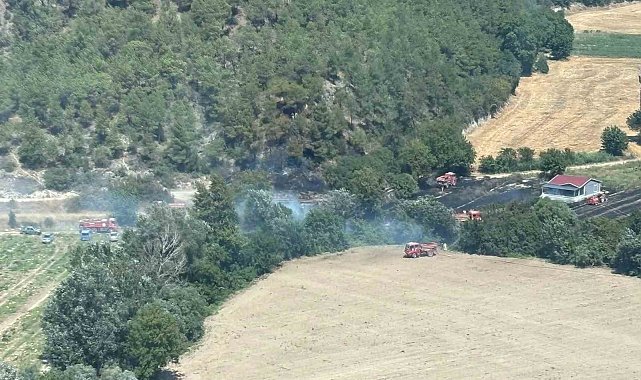 Bilecik'te ormanlık alanda yangın çıktı