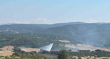 Bilecik'te ormanlık alandaki yangın kontrol altına alındı
