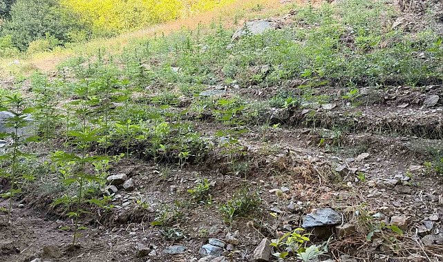 Bingöl'de çeşitli suçlardan 76 şüpheli yakalandı