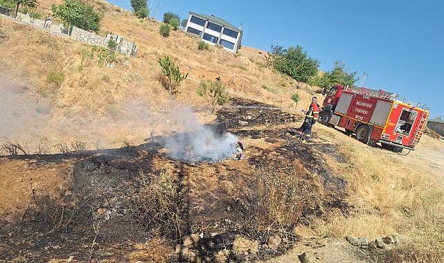 Bingöl'de iki ayrı yangın paniğe neden oldu