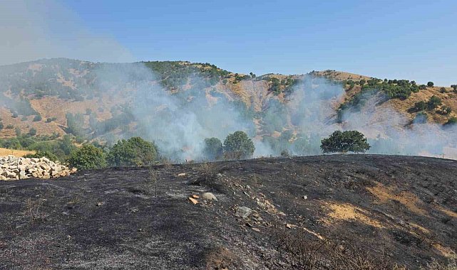 Bingöl'de kırsal alanda çıkan yangın söndürüldü