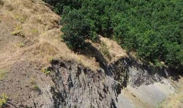 Bingöl'de nesli tükenme tehlikesi altında dağ keçisi görüntülendi