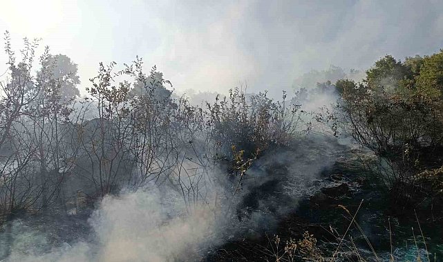 Bingöl'de orman ve mera yangınları söndürüldü