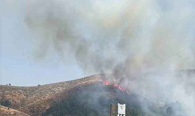 Bingöl'de örtü yangınına müdahale sürüyor