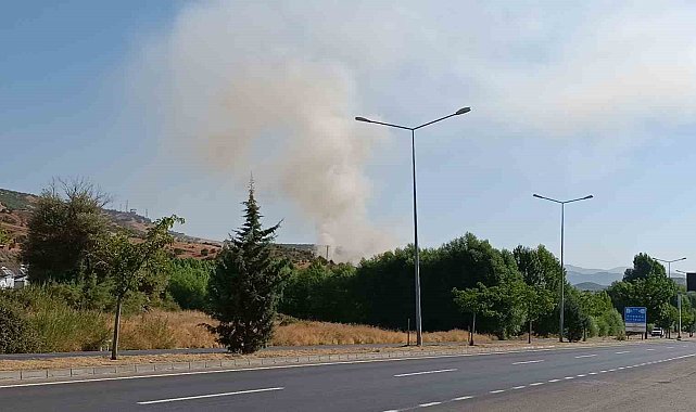 Bingöl'de otluk alanda çıkan yangın büyümeden söndürüldü