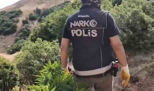 Bingöl'de uyuşturucu operasyonu: 3 şüpheli tutuklandı