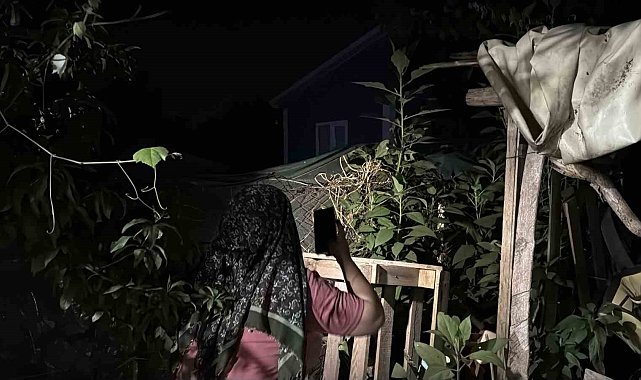Bir tıkırtı yetiyor, herkes sokağa fırlıyor: Gece saatlerinde fenerlerle iz sürüyorlar