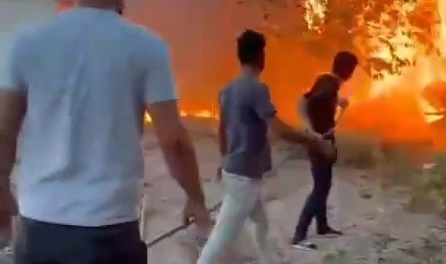 Birecik'te korkutan yangın