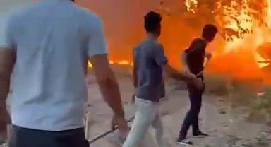 Birecik'te korkutan yangın