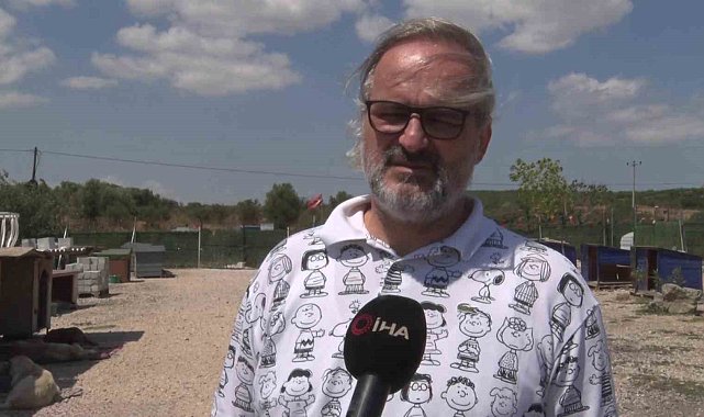 Birkaç köpekle başladı, bin 200 cana yuva oldu