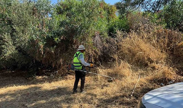 Bodrum'da ot temizliği çalışmaları sürüyor