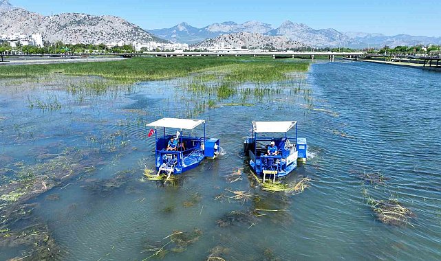 Boğaçayı sucul otlarla kaplandı, "Caretta" ve "Mavi Yengeç" göreve başladı