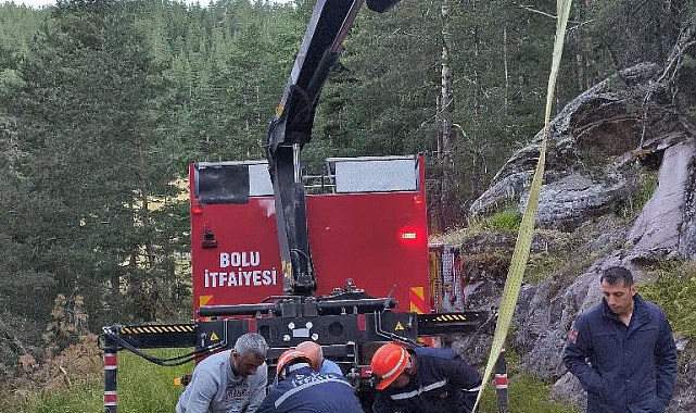 Bolu'da 50 metrelik uçuruma düşen inek vinçle kurtarıldı