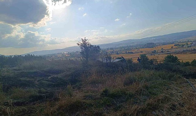 Bolu'da anız yangını ağaçlık alana sıçramadan söndürüldü