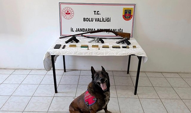 Bolu'da evinde silah ve mühimmat bulunan şüpheli tutuklandı