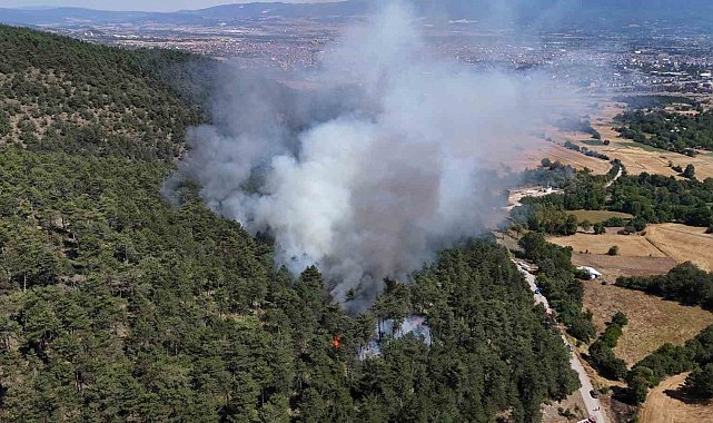 Bolu'da orman yangını başladı
