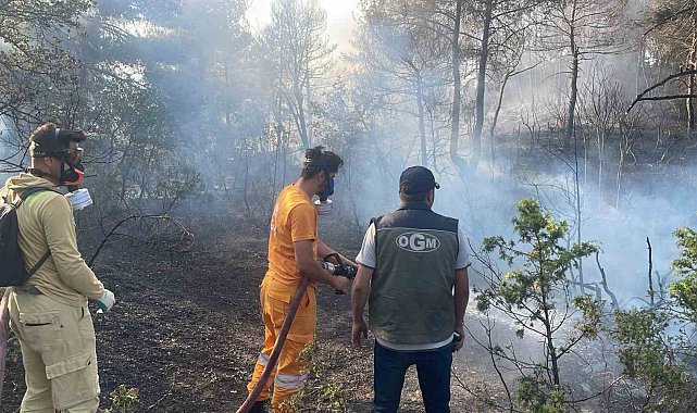 Bolu'da ormanlık alanda çıkan yangın kontrol altına alındı