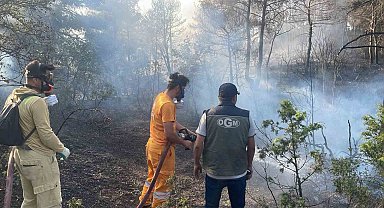 Bolu'da ormanlık alanda çıkan yangın kontrol altına alındı