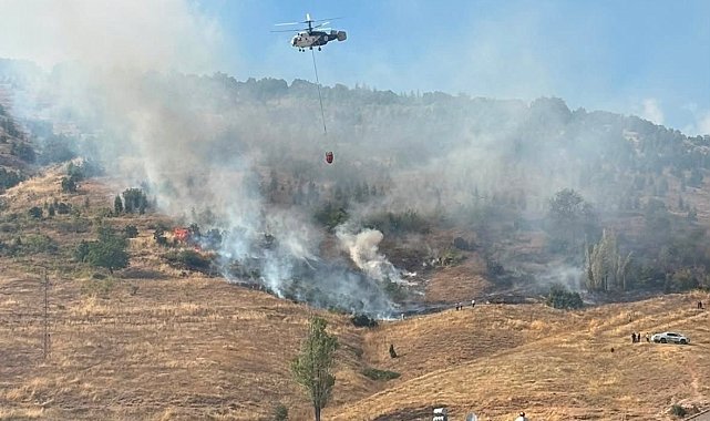 Bozüyük'te orman yangını kontrol altına alındı