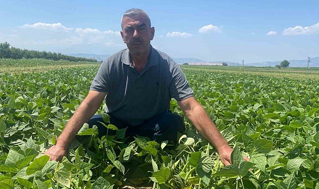 Bu köyde çiftçi sadece tarlasını hazırlıyor, gerisini kooperatif yapıyor