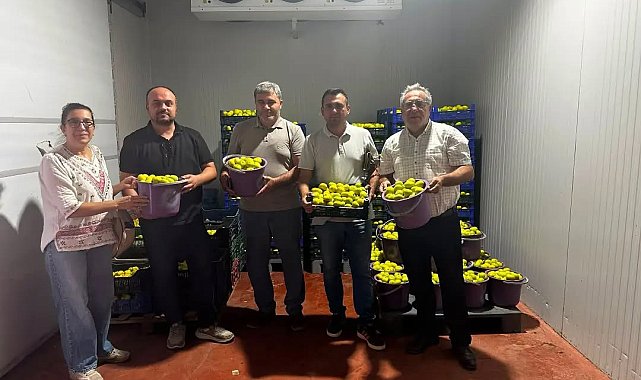Buharkent'te incir bahçeleri ve alım noktalarında Fusarium denetimi
