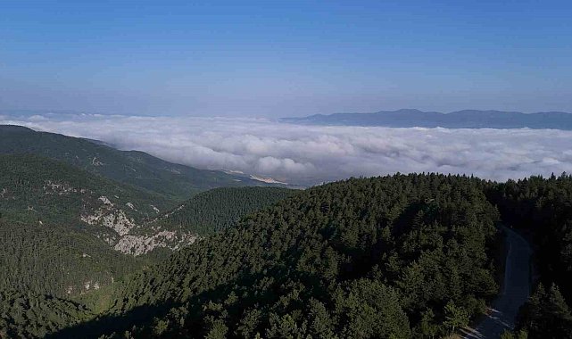 Bulut denizi ortaya kartpostallık manzara çıkardı