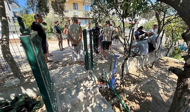 Burhaniye'de ağaç kesilmesine isyan